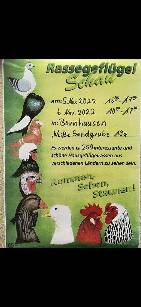 Bild im Zusammenhang mit dem Beitrag