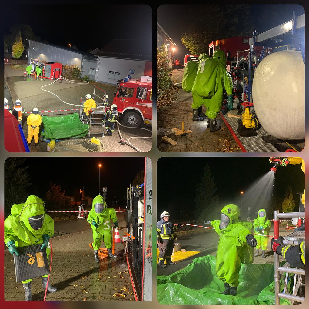 Collage image 1