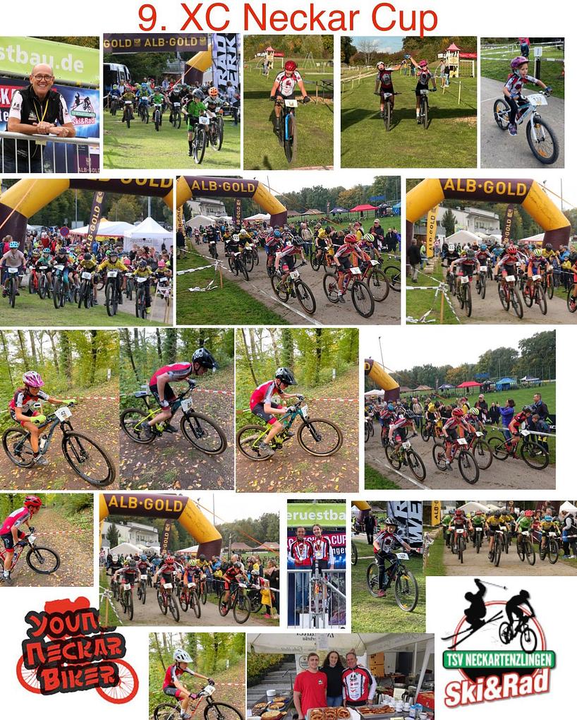 Collagebild 1