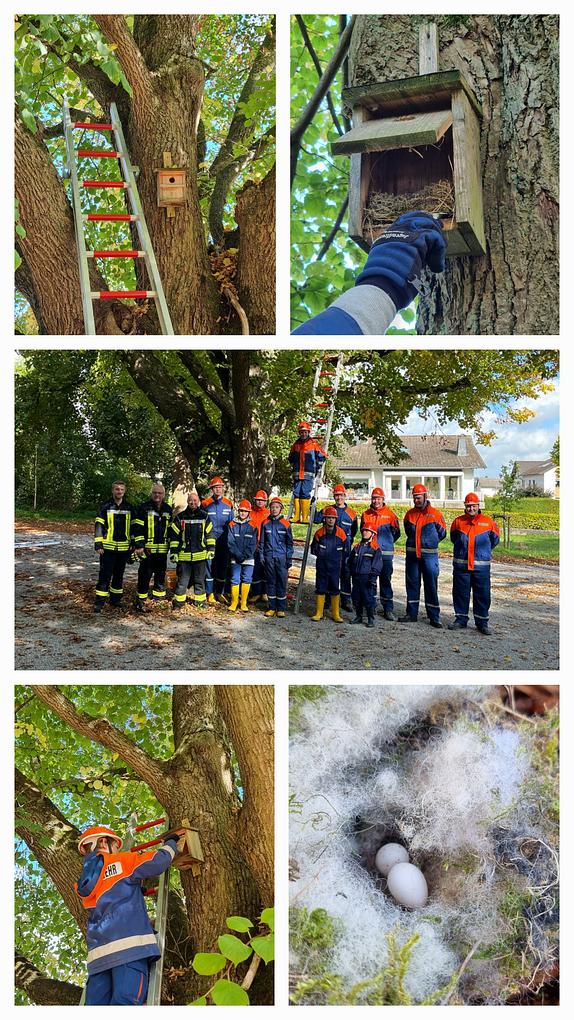 Collagebild 1