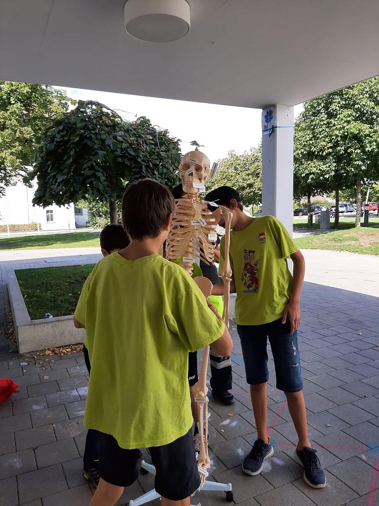 Bild im Zusammenhang mit dem Beitrag