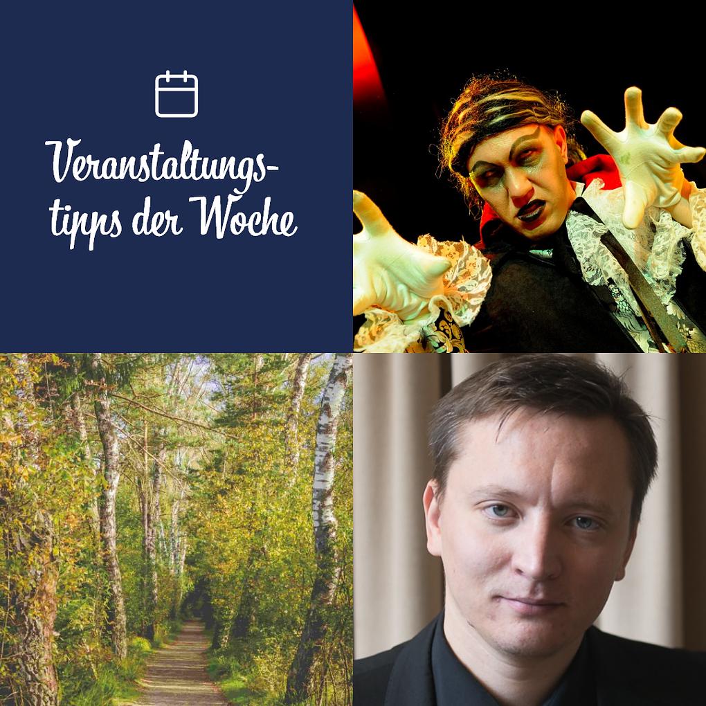 Collagebild 1