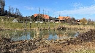 Bild im Zusammenhang mit dem Beitrag