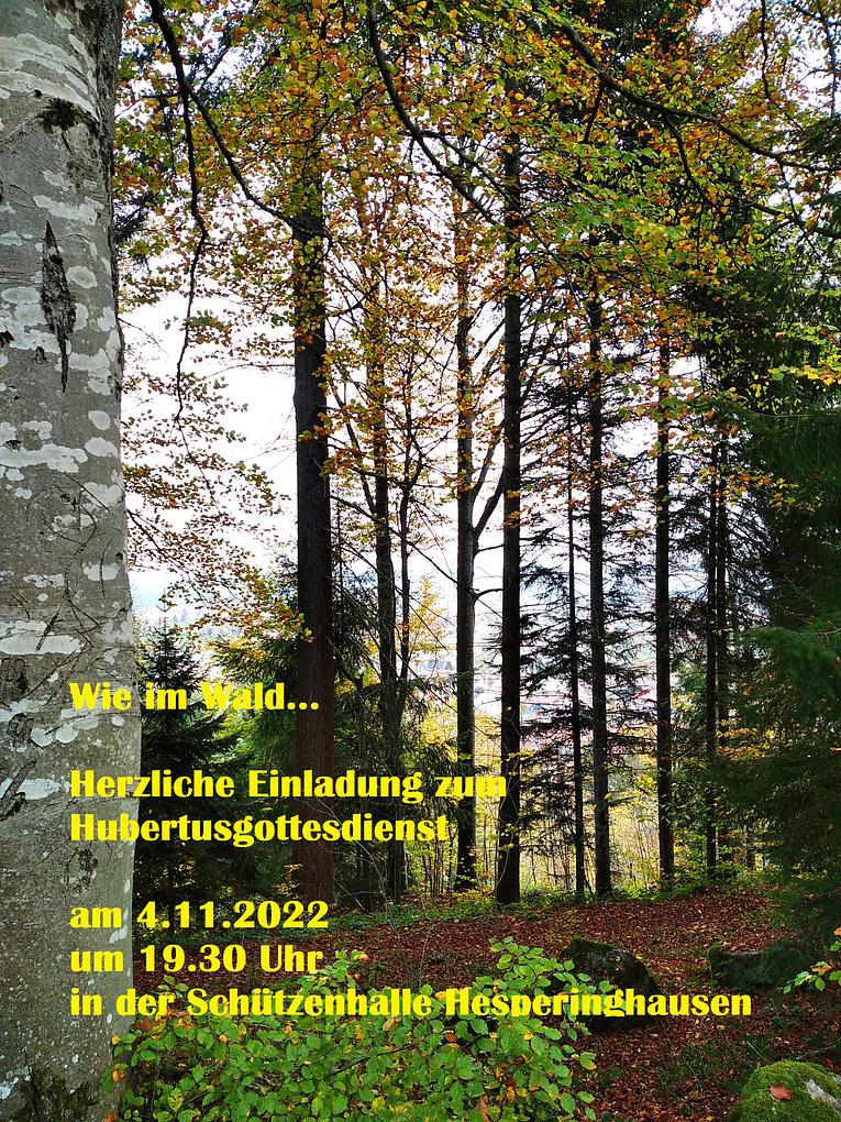 Bild im Zusammenhang mit dem Beitrag