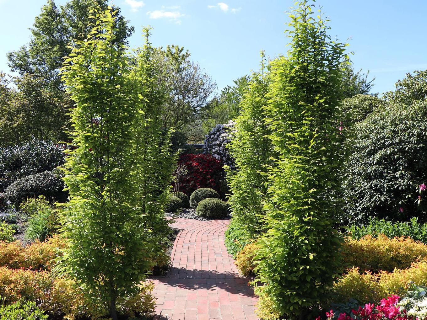 Collage image 1
