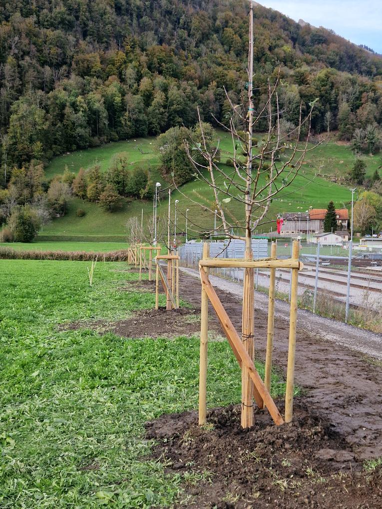 Bild im Zusammenhang mit dem Beitrag