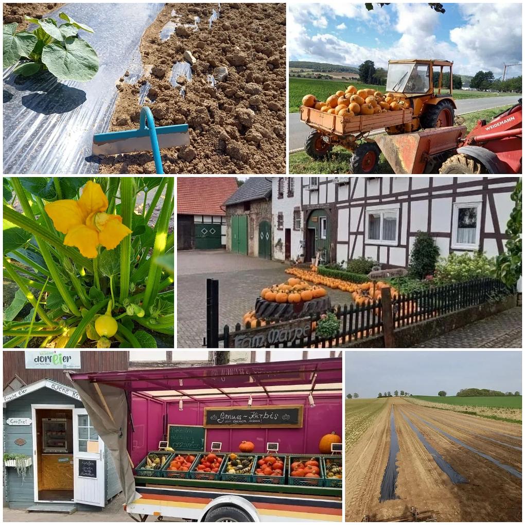 Collagebild 1