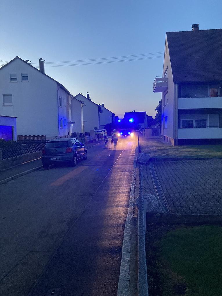 Bild im Zusammenhang mit dem Beitrag