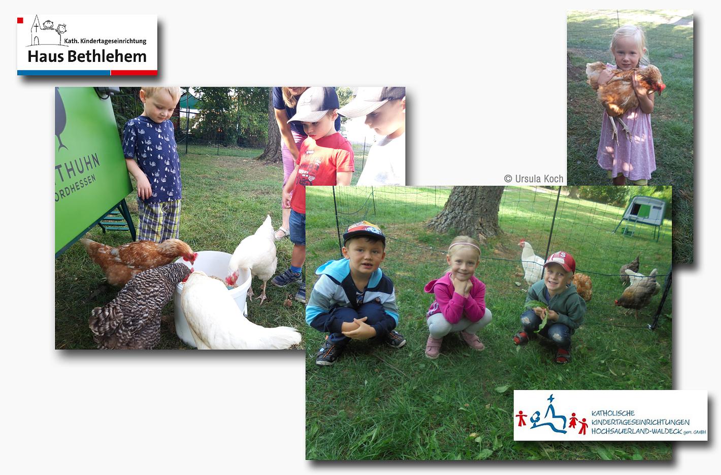 Collagebild 1