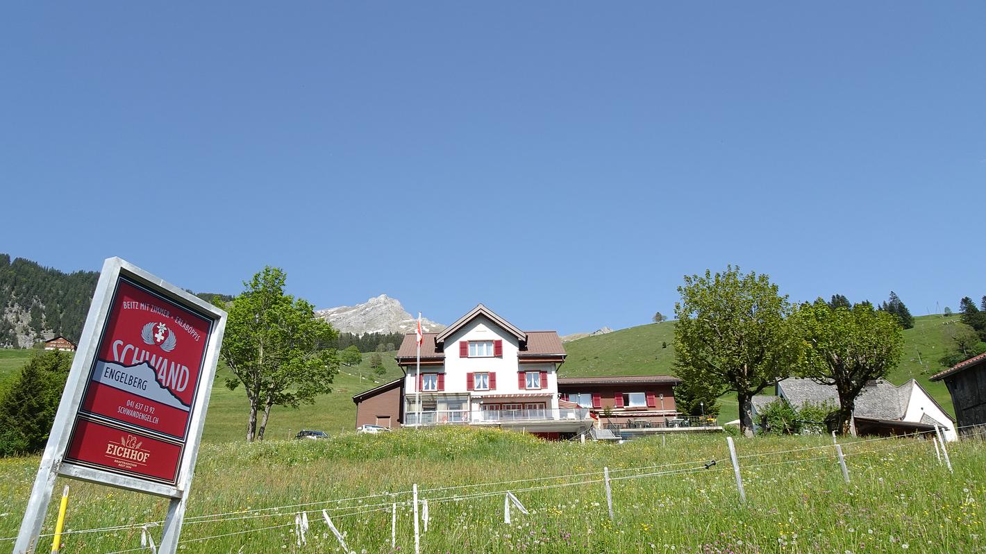 Bild im Zusammenhang mit dem Beitrag