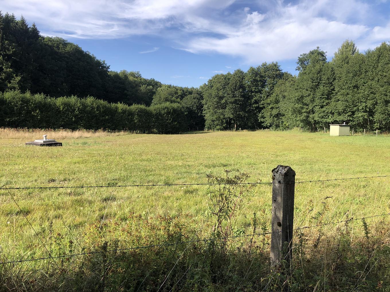 Bild im Zusammenhang mit dem Beitrag