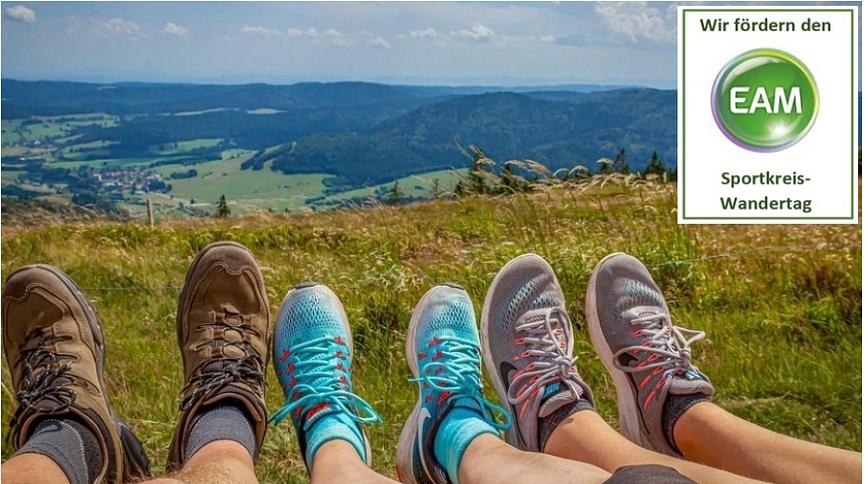 Bild im Zusammenhang mit dem Beitrag