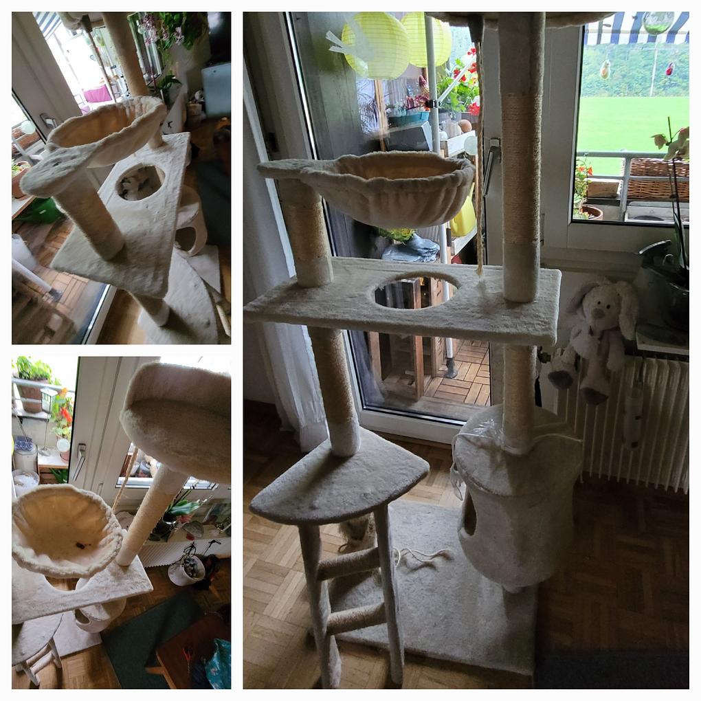 Collagebild 1