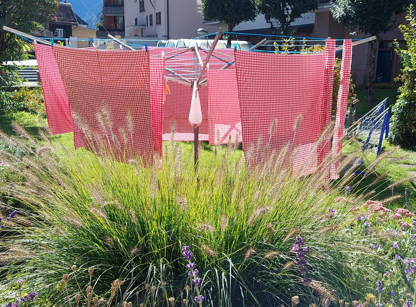 Bild im Zusammenhang mit dem Beitrag