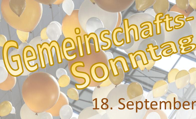 Bild im Zusammenhang mit dem Beitrag