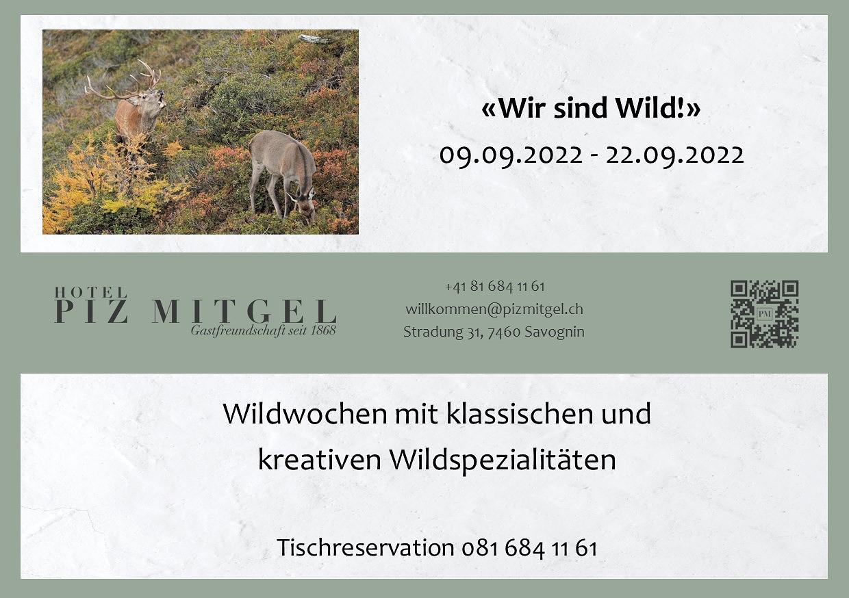 Bild im Zusammenhang mit dem Beitrag