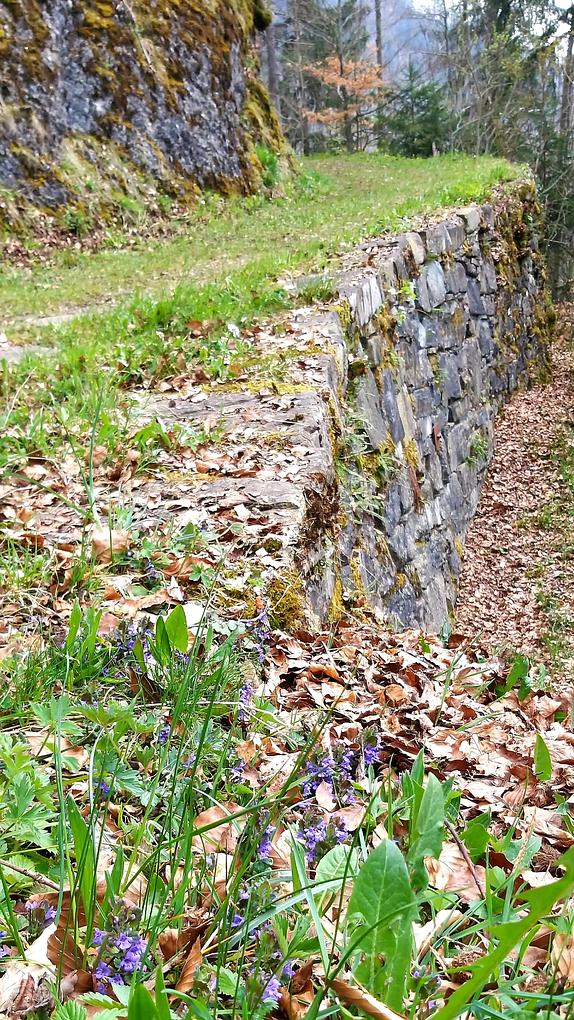 Bild im Zusammenhang mit dem Beitrag
