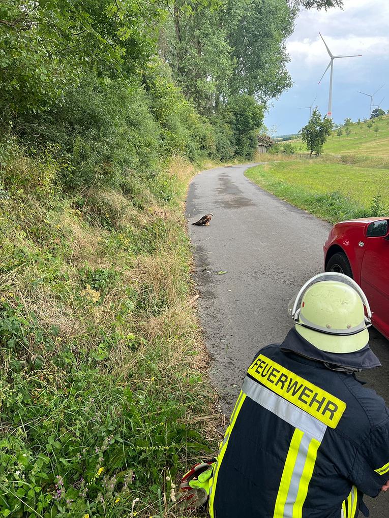 Bild im Zusammenhang mit dem Beitrag
