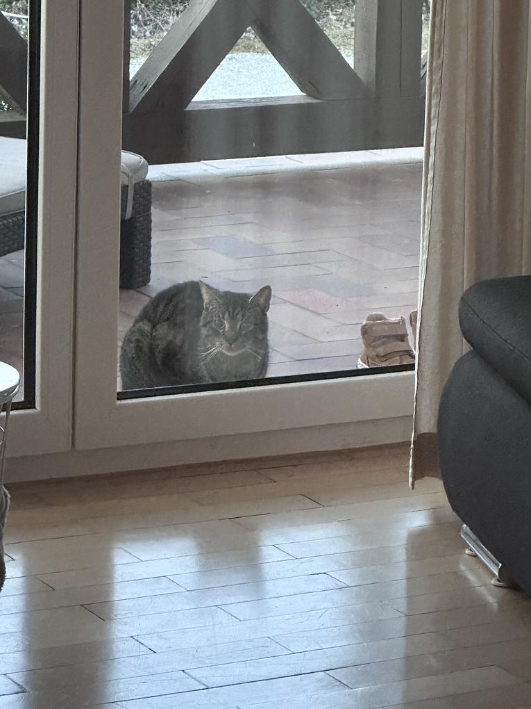 Bild im Zusammenhang mit dem Beitrag