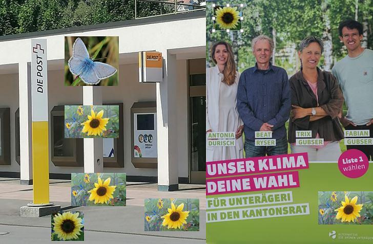 Collagebild 1