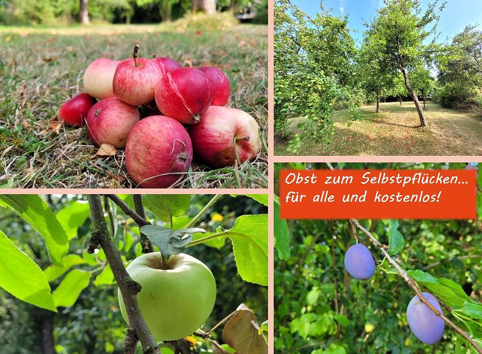 Bild im Zusammenhang mit dem Beitrag