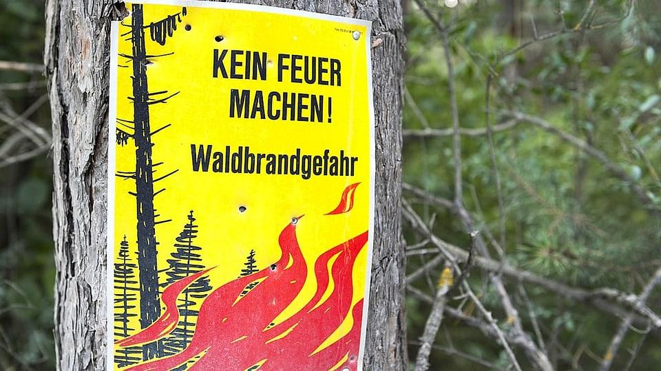 Bild im Zusammenhang mit dem Beitrag