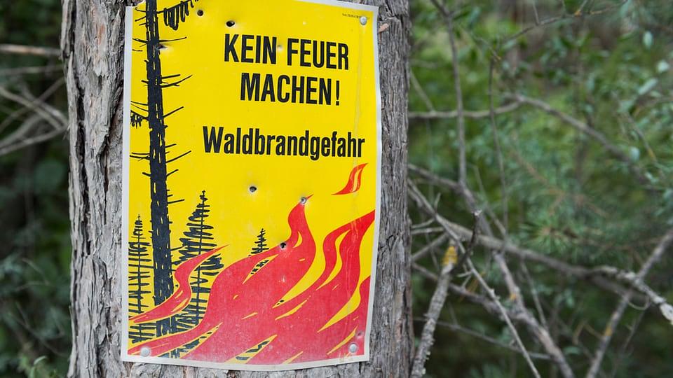 Bild im Zusammenhang mit dem Beitrag