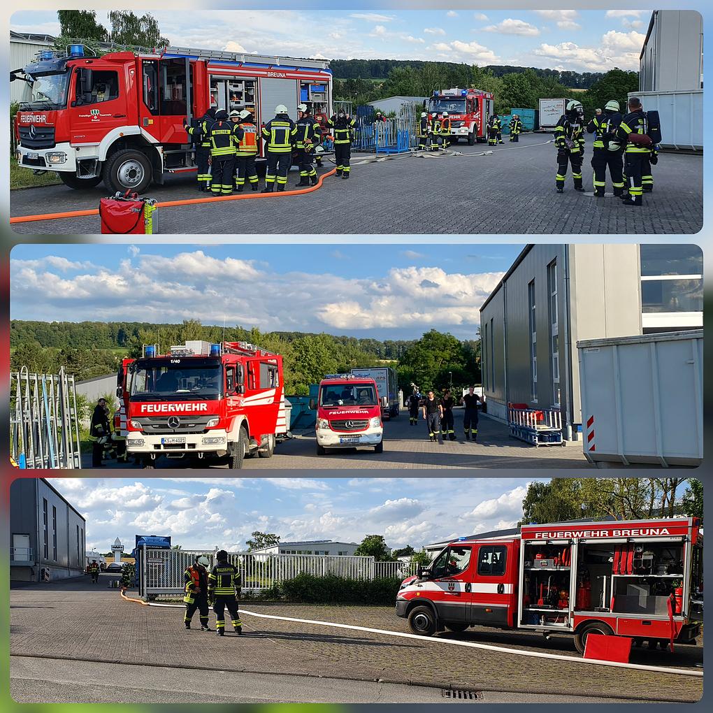 Collage image 1