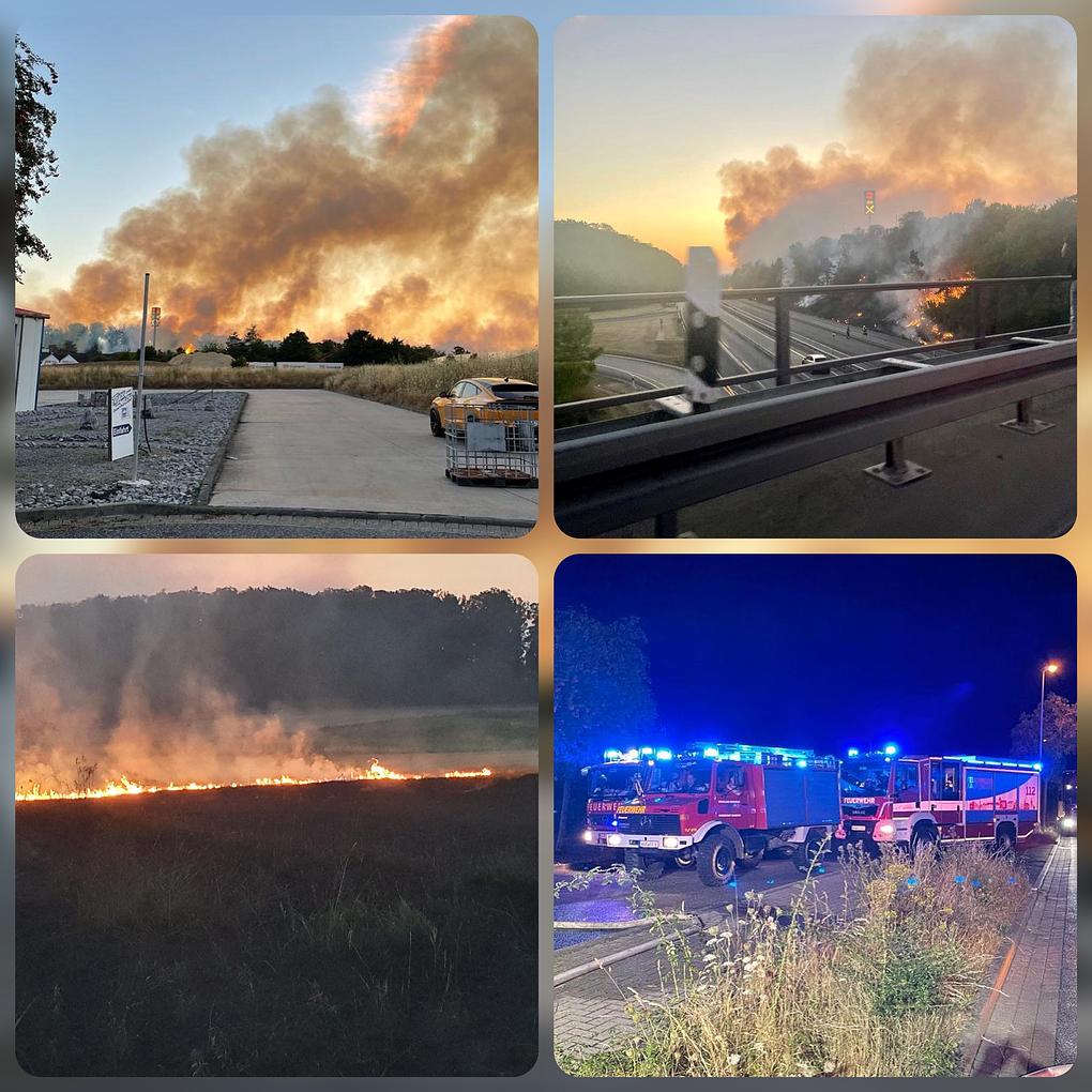 Collage image 1