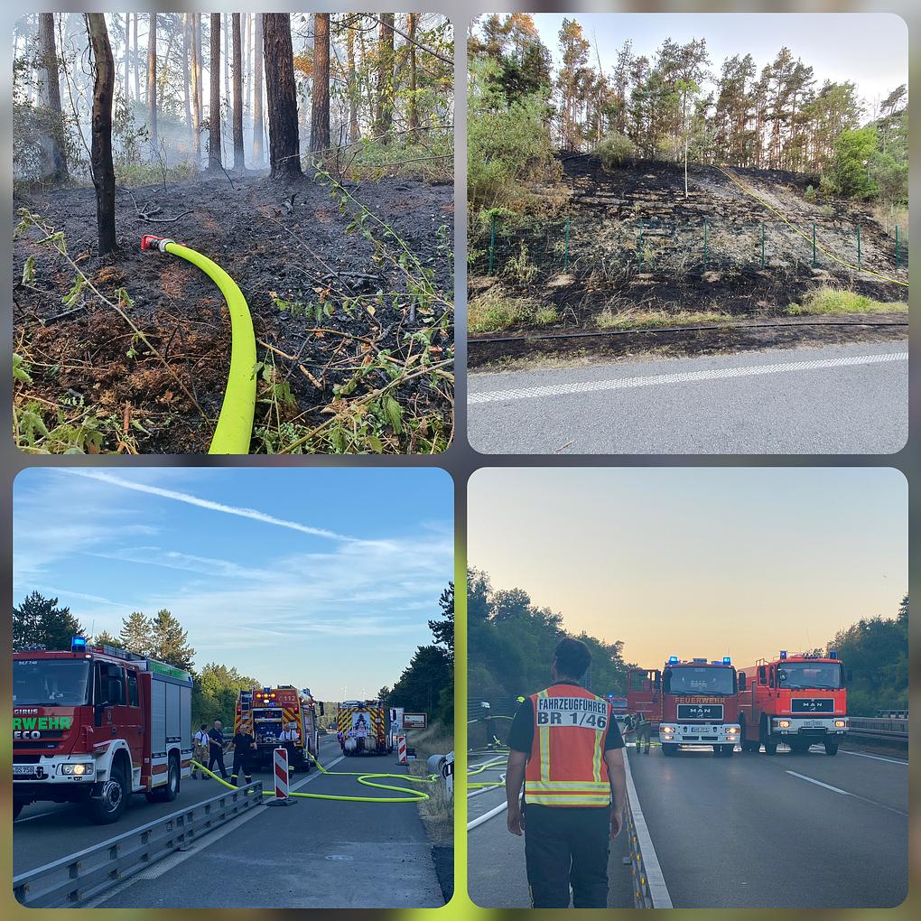 Collage image 1