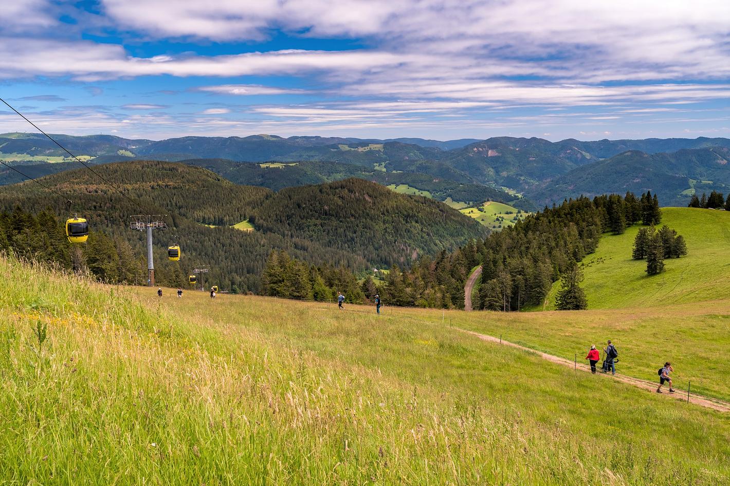 Bild im Zusammenhang mit dem Beitrag