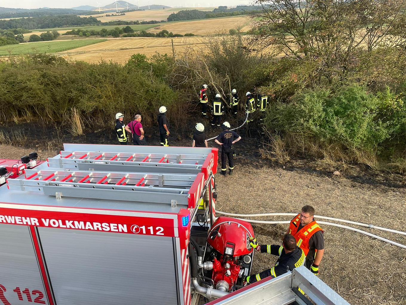 Bild im Zusammenhang mit dem Beitrag
