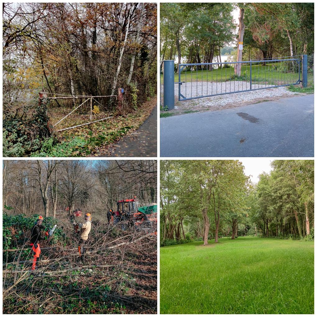 Collage image 1