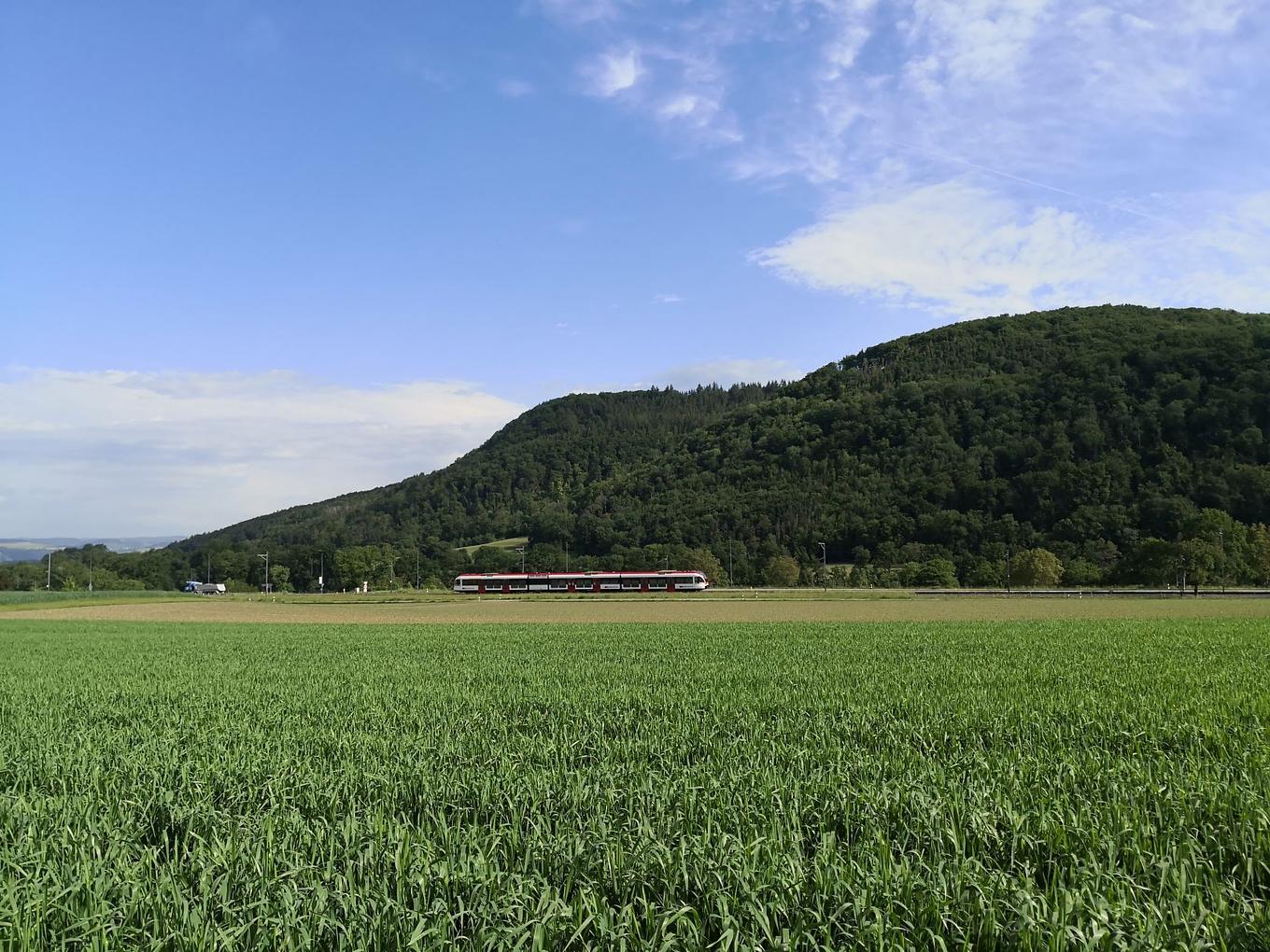 Bild im Zusammenhang mit dem Beitrag