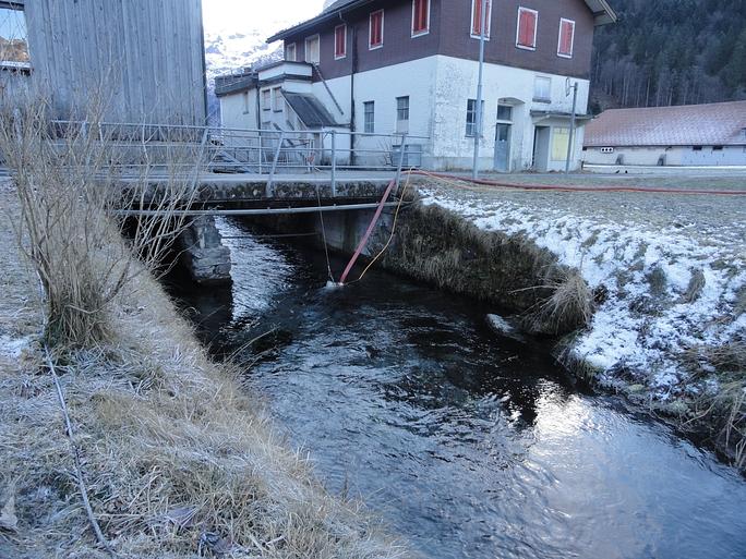 Bild im Zusammenhang mit dem Beitrag