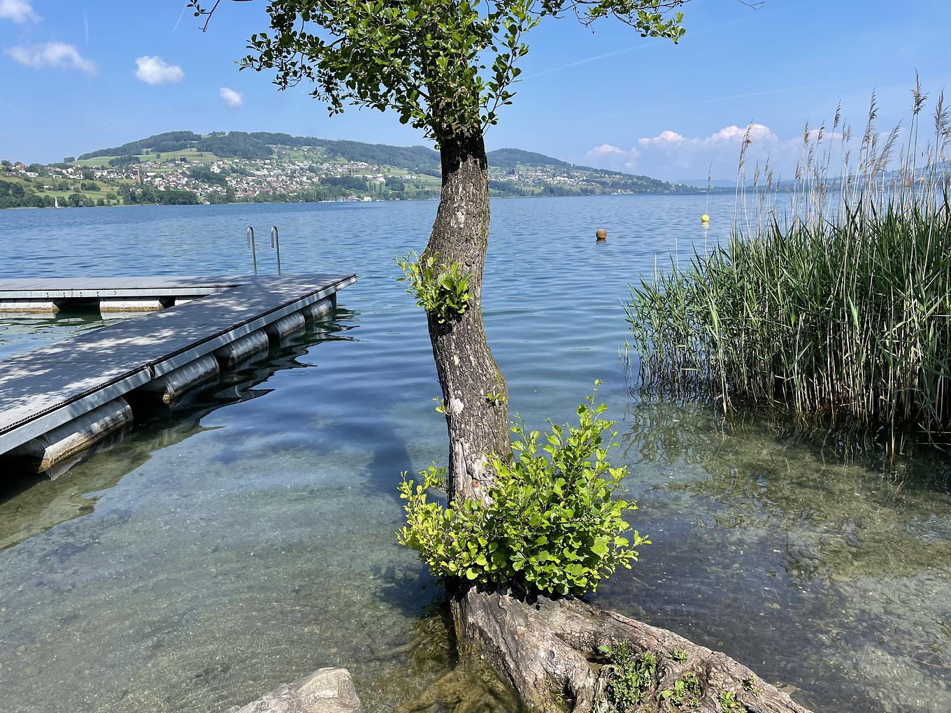 Bild im Zusammenhang mit dem Beitrag