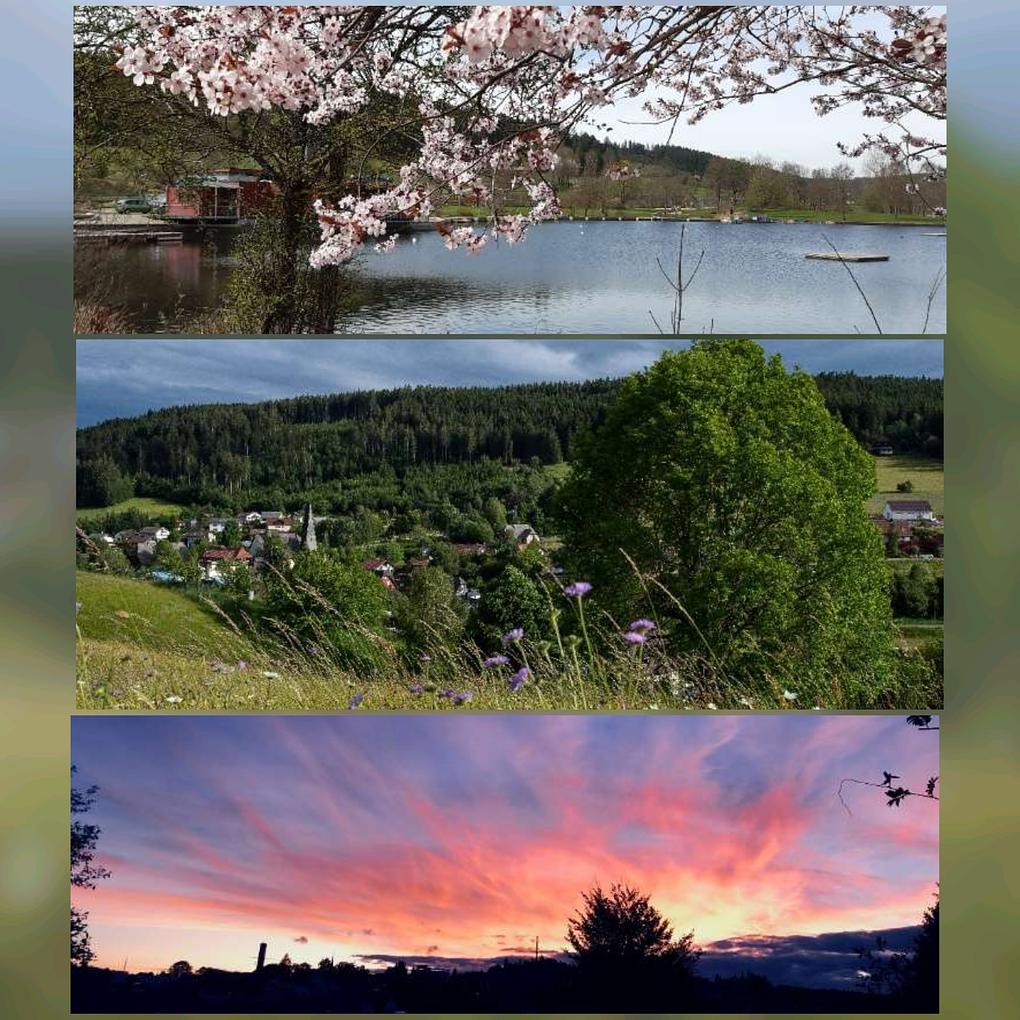 Collagebild 1