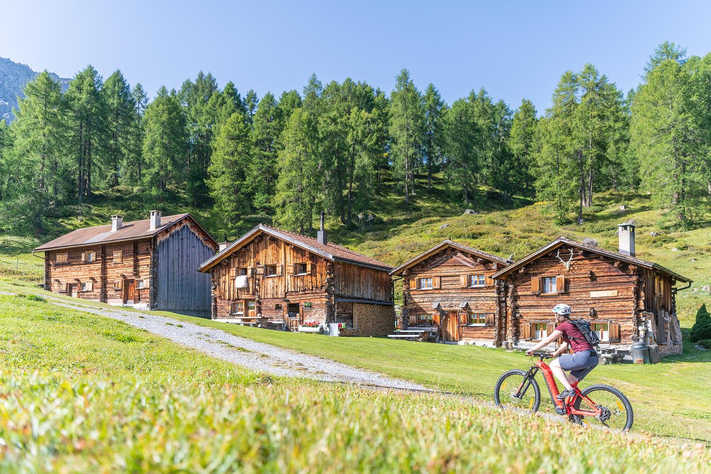 Bild im Zusammenhang mit dem Beitrag