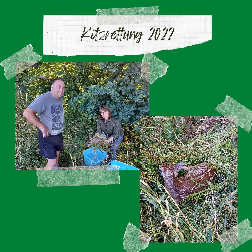 Collagebild 1