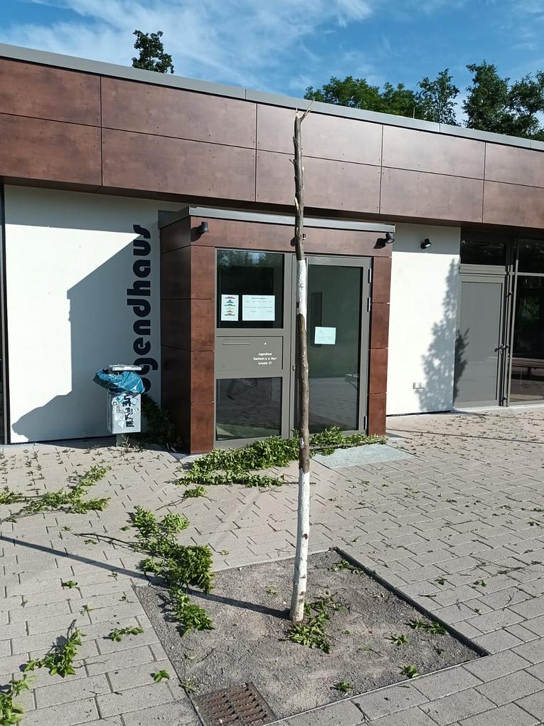 Bild im Zusammenhang mit dem Beitrag
