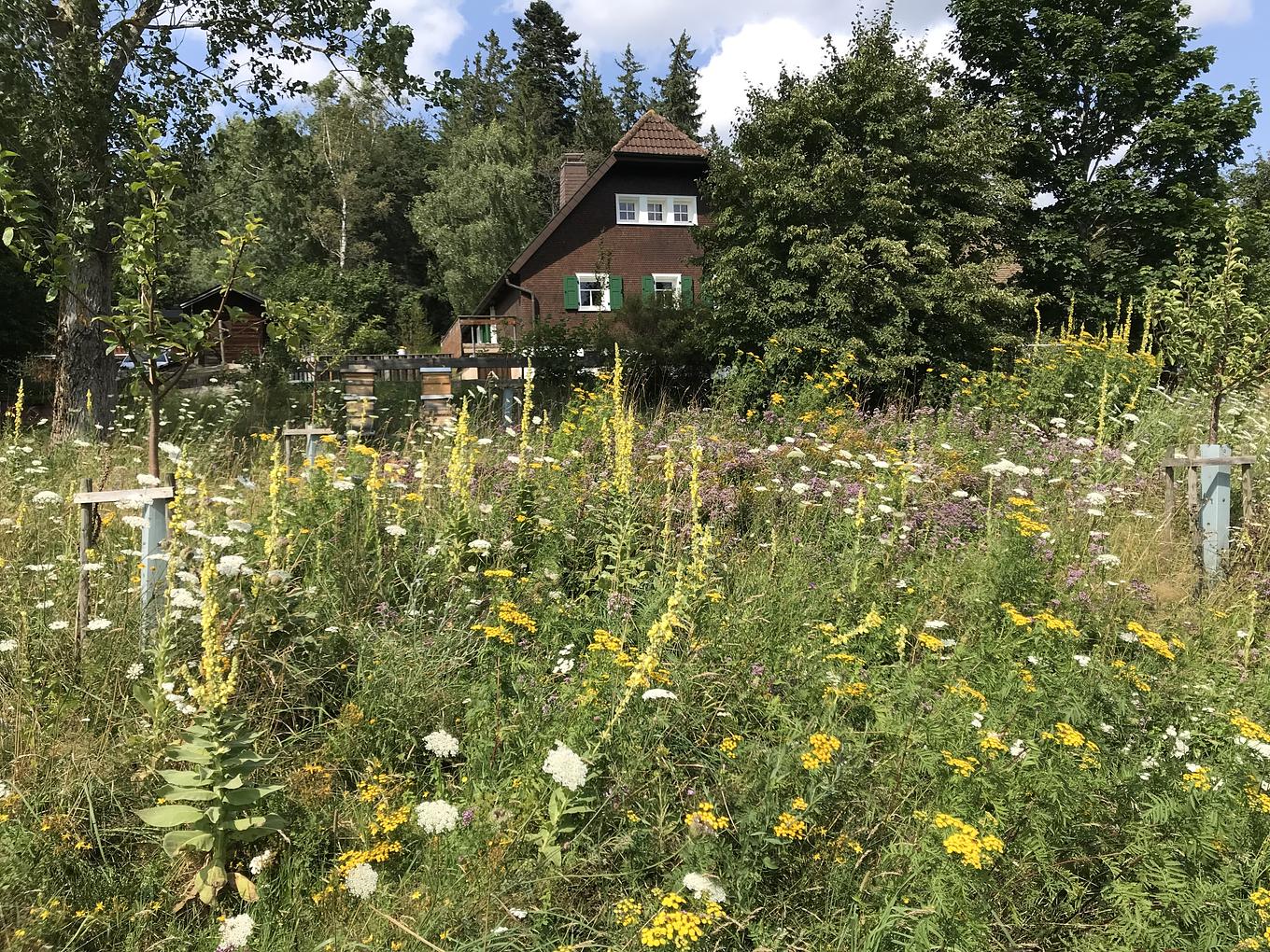 Bild im Zusammenhang mit dem Beitrag