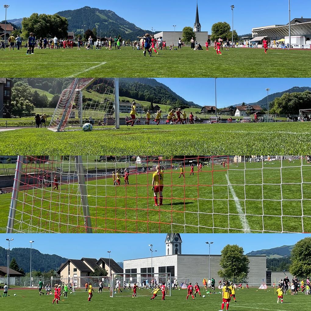 Collage image 1
