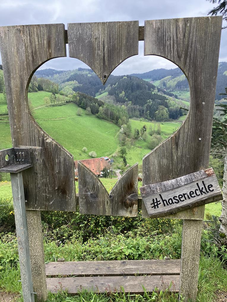 Bild im Zusammenhang mit dem Beitrag