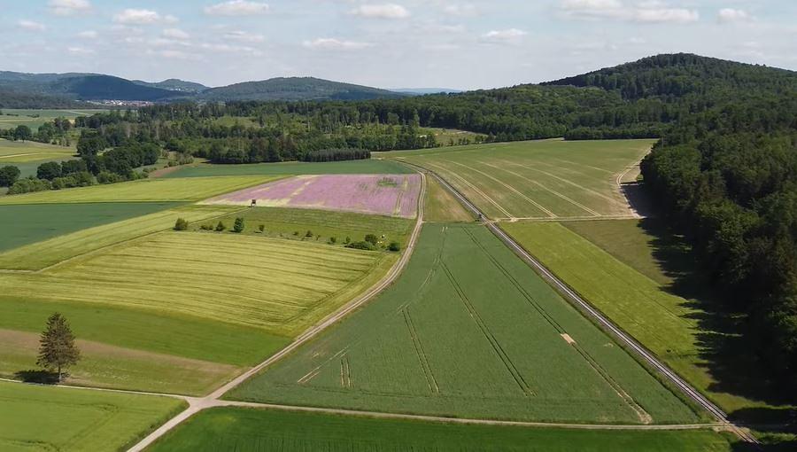 Bild im Zusammenhang mit dem Beitrag
