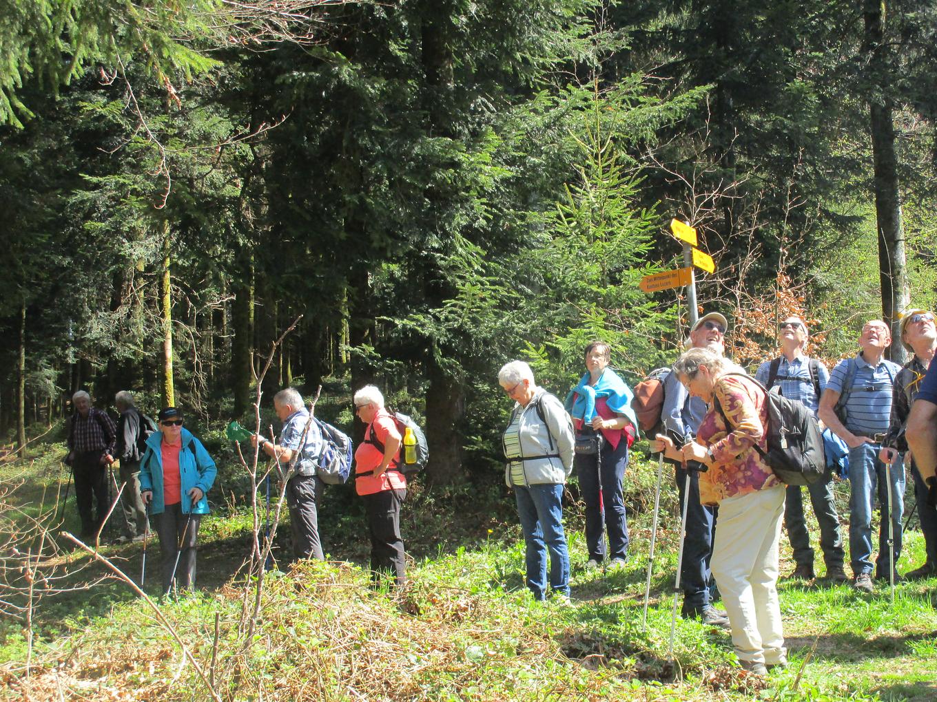 Bild im Zusammenhang mit dem Beitrag