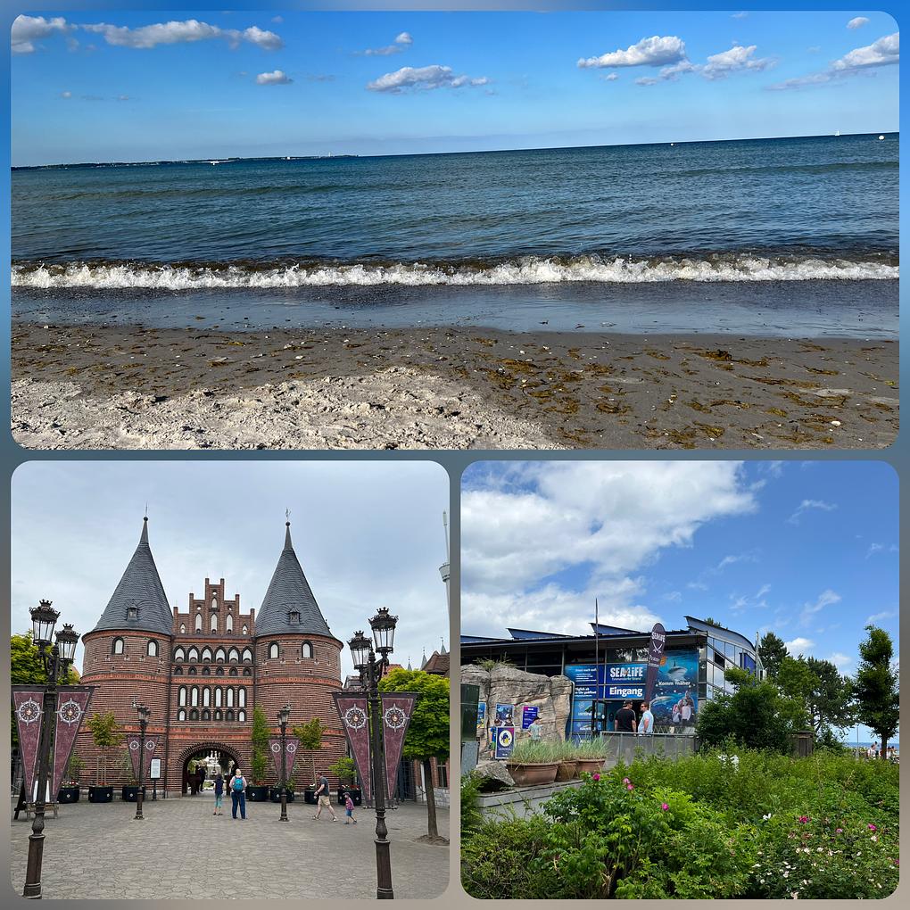 Collagebild 1