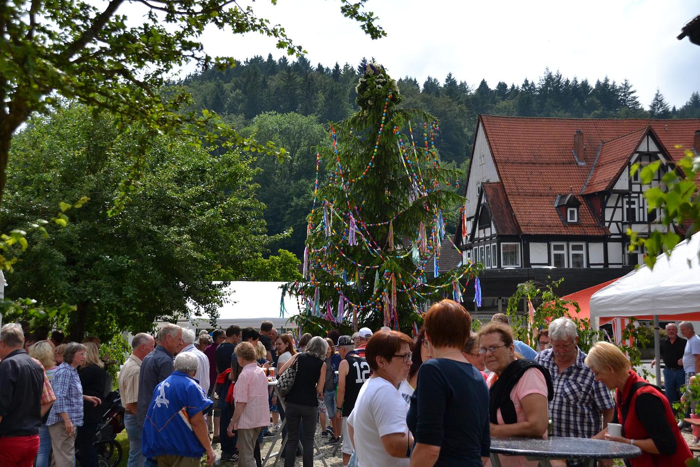 Bild im Zusammenhang mit dem Beitrag