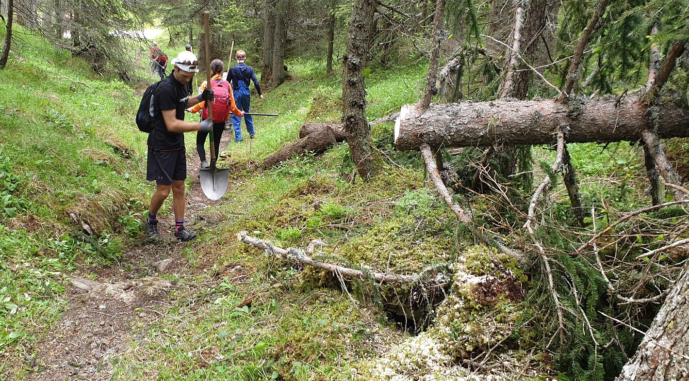 Bild im Zusammenhang mit dem Beitrag