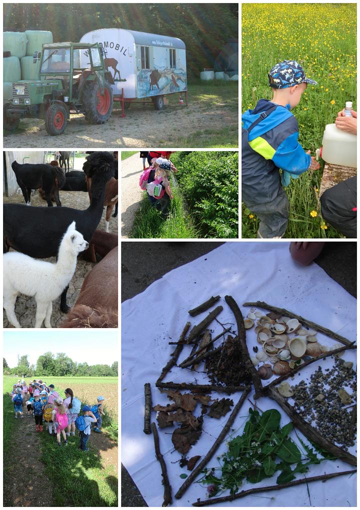 Collagebild 1