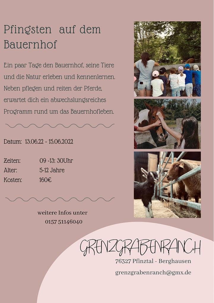 Collagebild 1